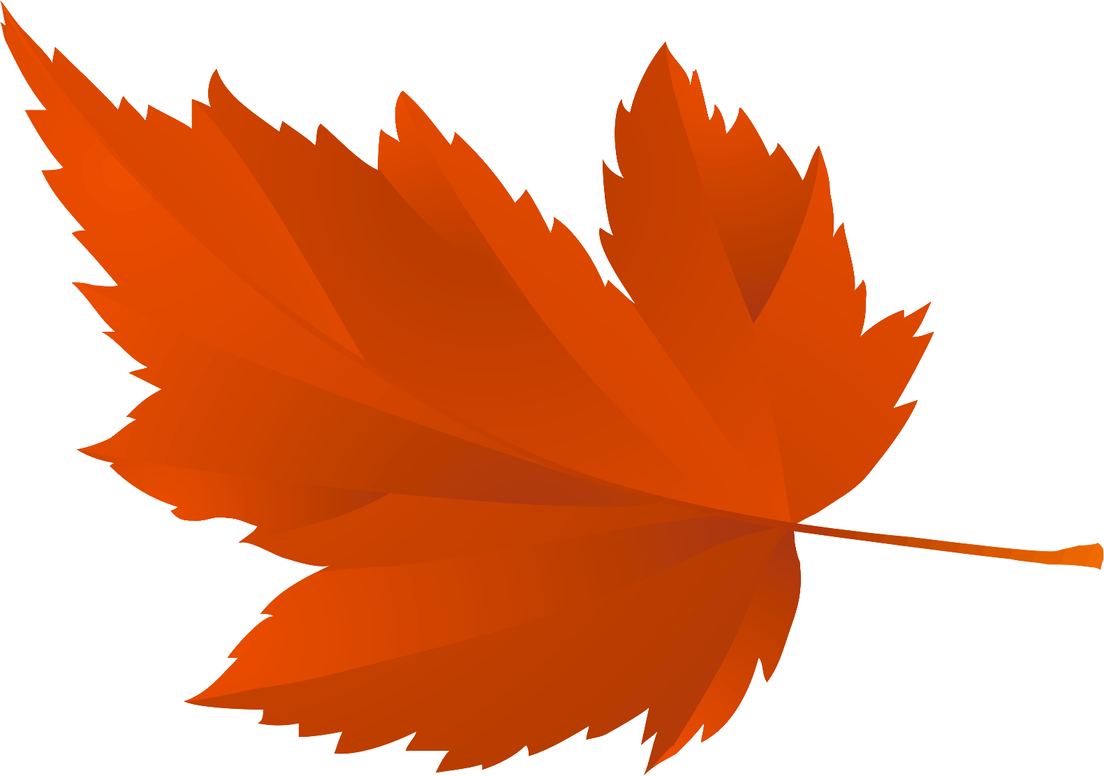 Осенние Листья Для Оформления Школьной Доски Или Группы - Tree Leaf (1581x1111)