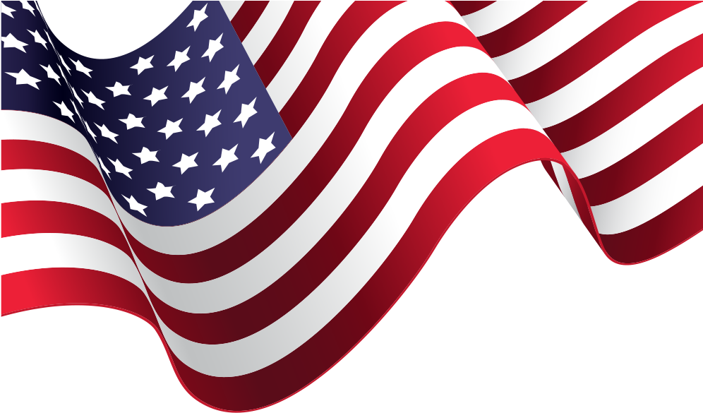 American Flag Vector Material - Two Little Fish Revive Coral Cleaner Live Rock Stony (1000x1000)