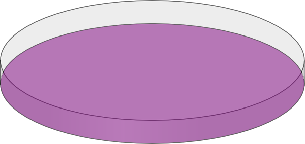 Clip Art (600x284)