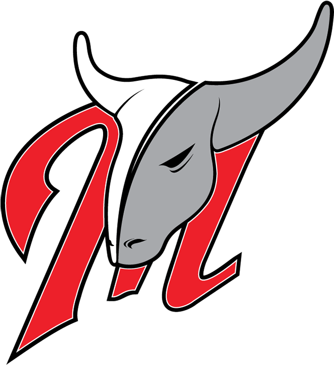 Mavericks Logo Baseball (800x800)
