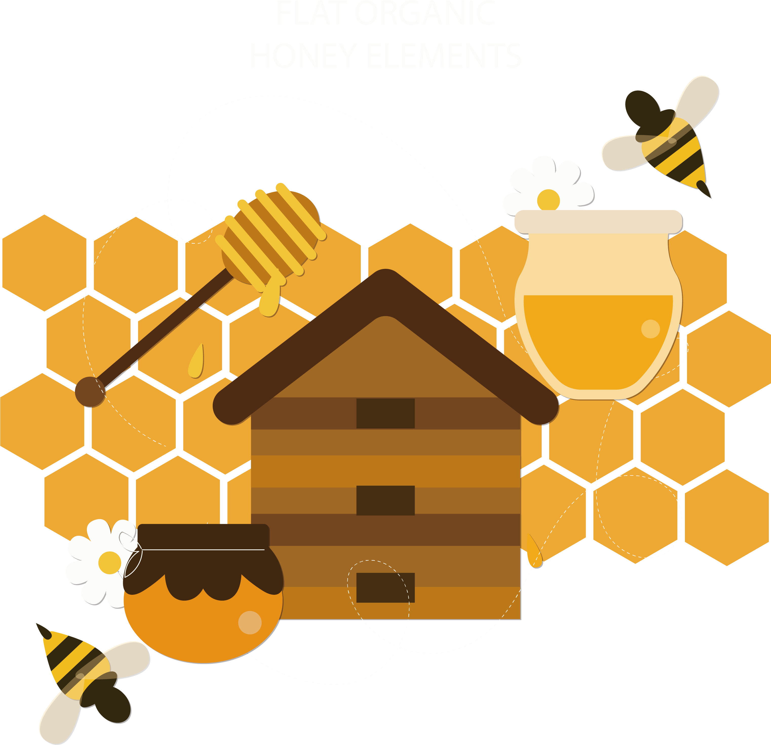 Honey Bee Honeycomb - Bee (3044x2963)