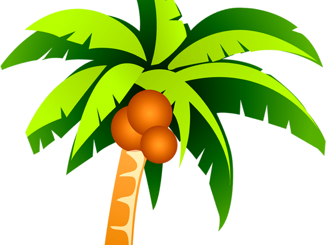 Vector Clipart Coconut Tree - Coconut Tree Vector Png (640x480)