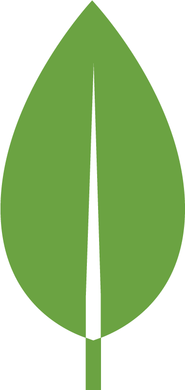 Leaf Flat Design Png (1000x1000)