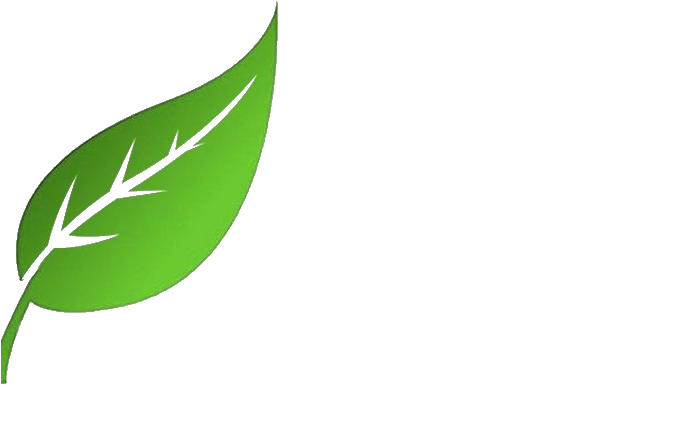 Bstore (969x467)