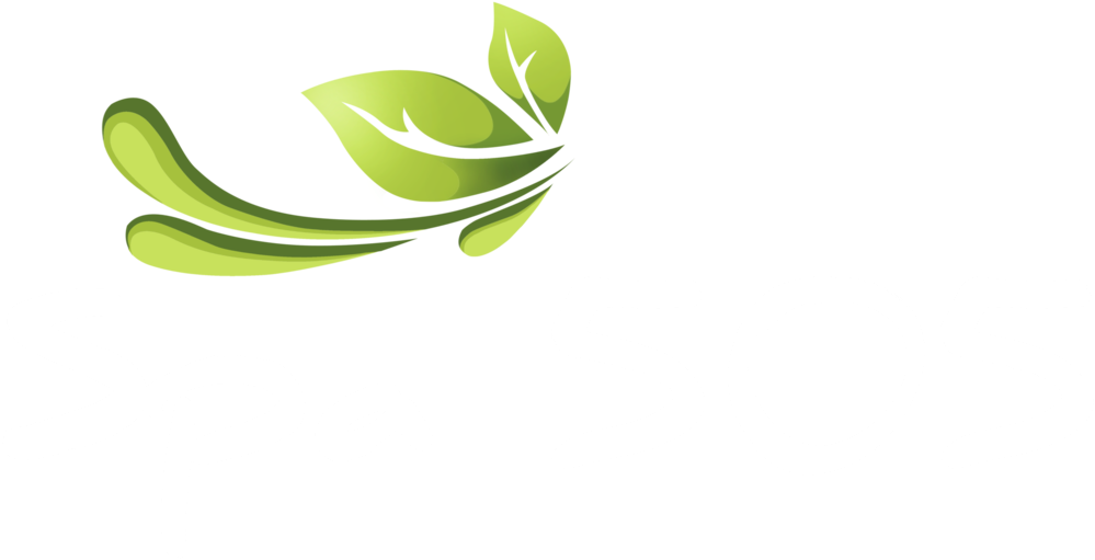 Spa - Spa (1000x519)