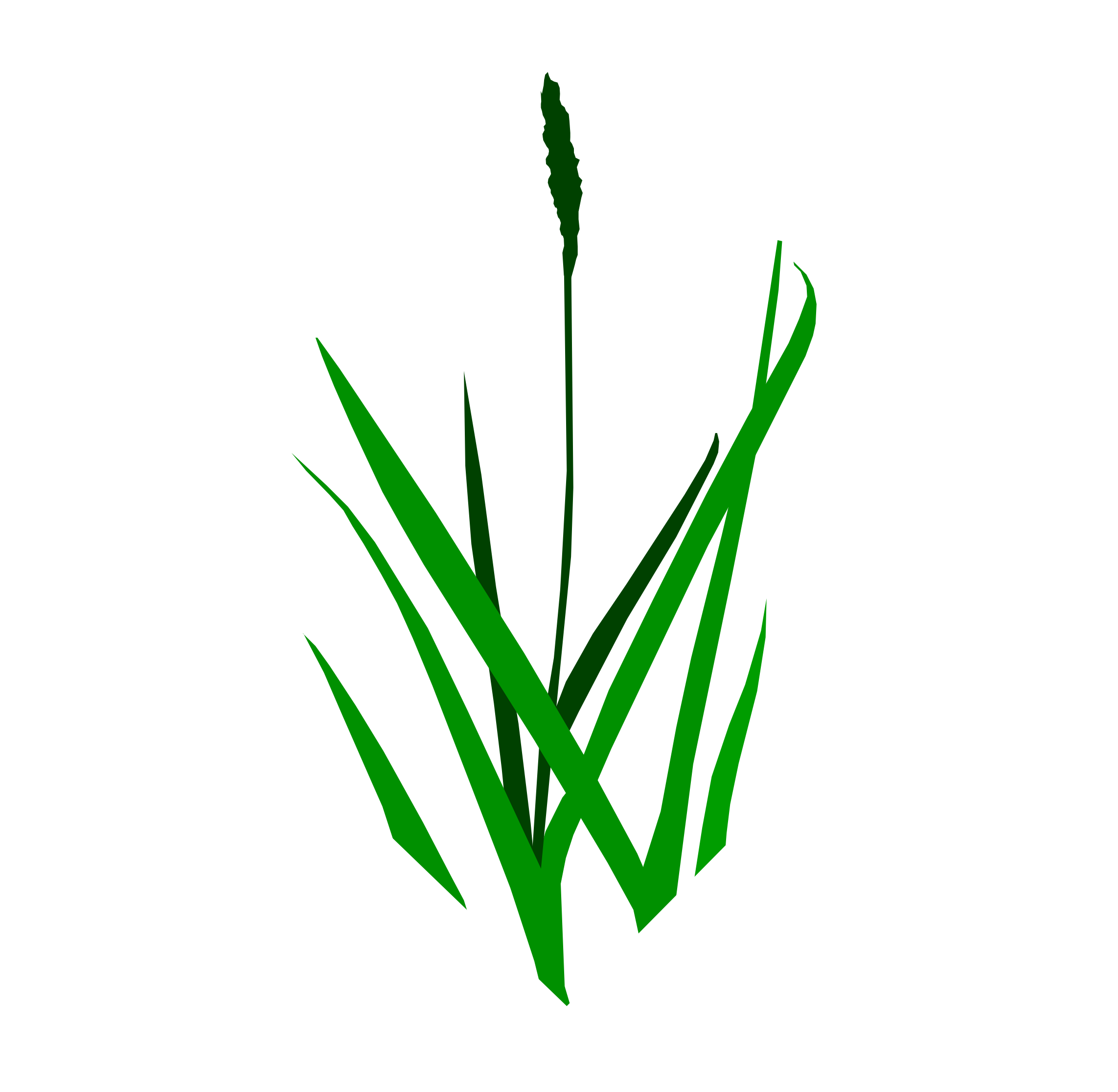 Grass Gis (2311x2231)
