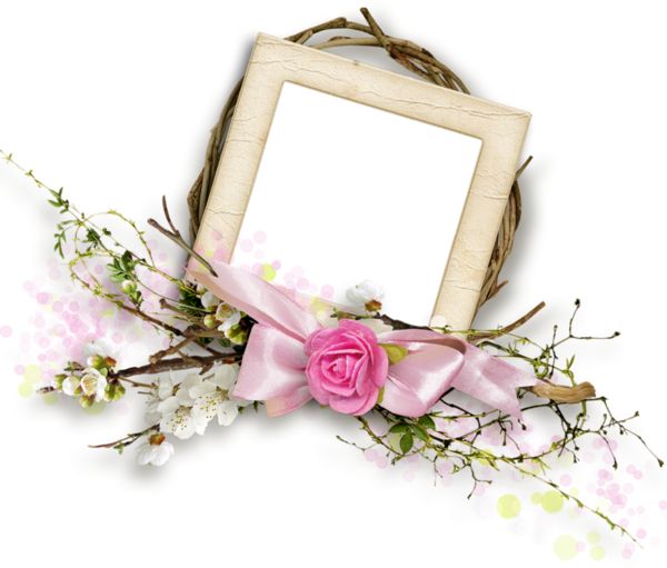 Garden Roses (600x511)