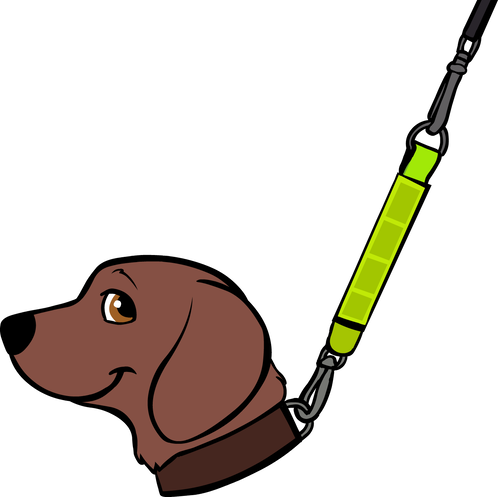 Reflective Leash Extender - Leash And Collar Transparent (498x497)
