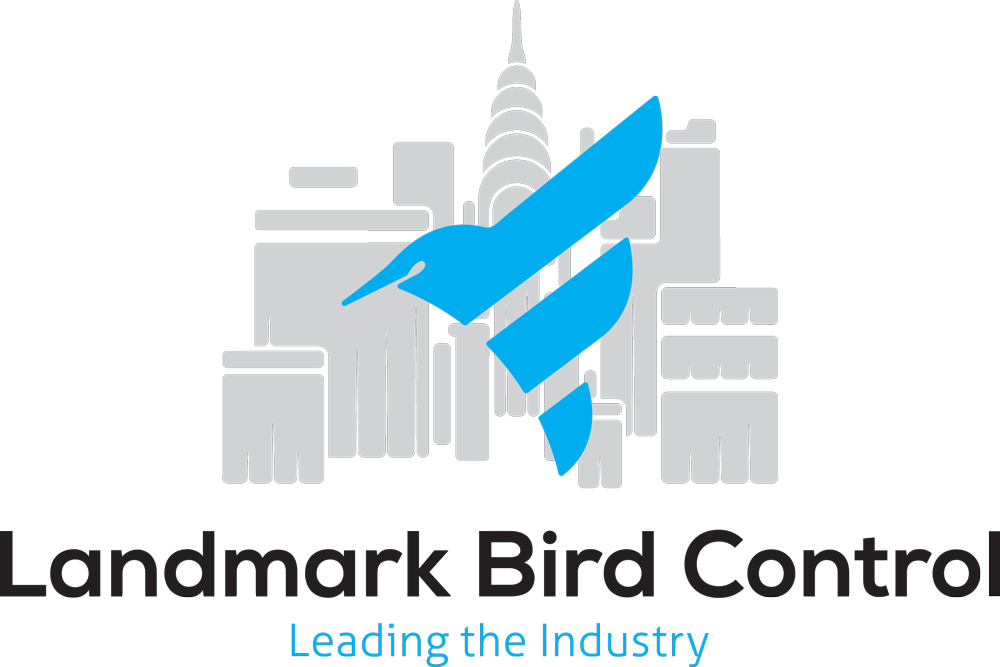 Health Risks Associated With Bird Droppings - Bird Control (1000x667)