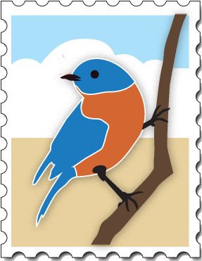 Mountain Bluebird (300x400)