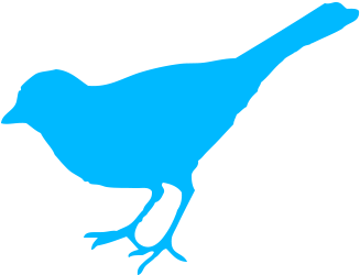 Bluebird Clip Art (504x432)
