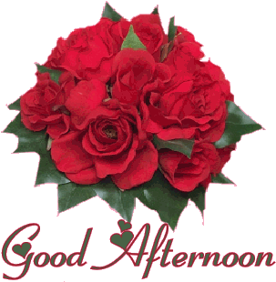 Rose Goodafternoon (350x350)