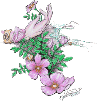 Rosetotem1 - Rose (340x388)
