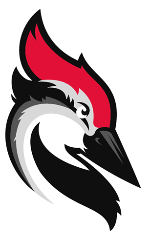 Woodpecker Emails (600x600)