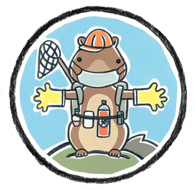 Stuff - Scaredy Squirrel Emergency Kit (500x380)