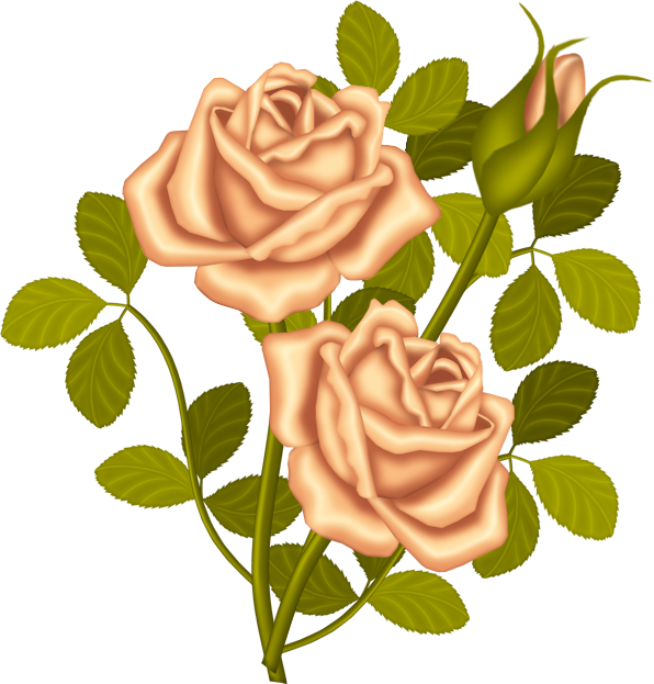 Яндекс - Фотки - Rosas Clipart (596x623)