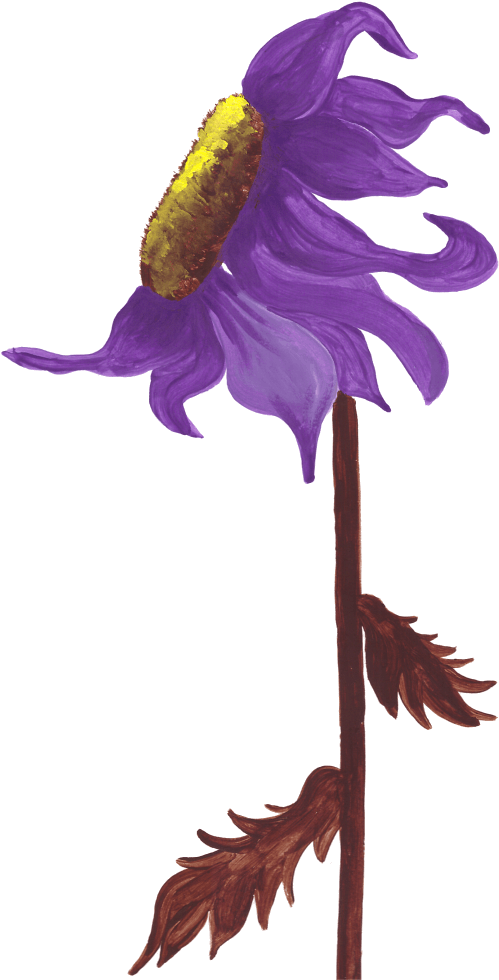 Illustration (524x1024)