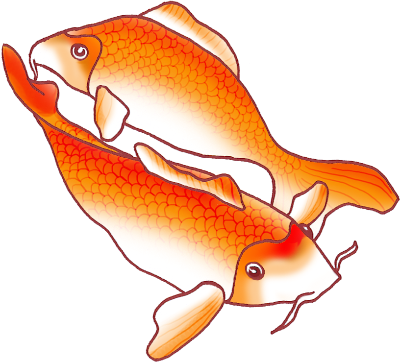 Colorful Koi Fish Drawings - Drawing (886x854)