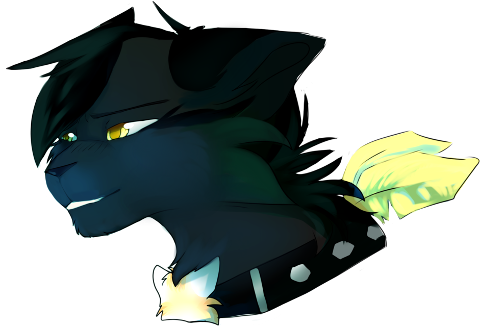 Yagami By Eucalyptus-splash - Eucalyptus Splash (1023x668)