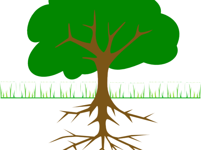 Cartoon Tree Roots - Tree Clip Art (640x480)
