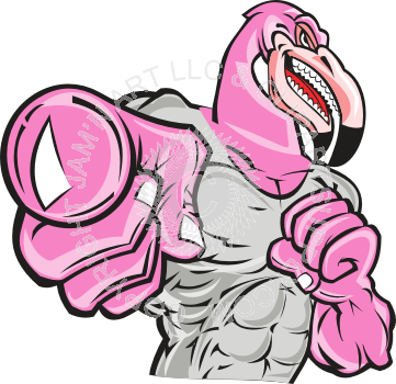 Flamingo Mascot (361x350)