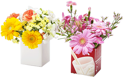フラワーポット - Bouquet (580x580)