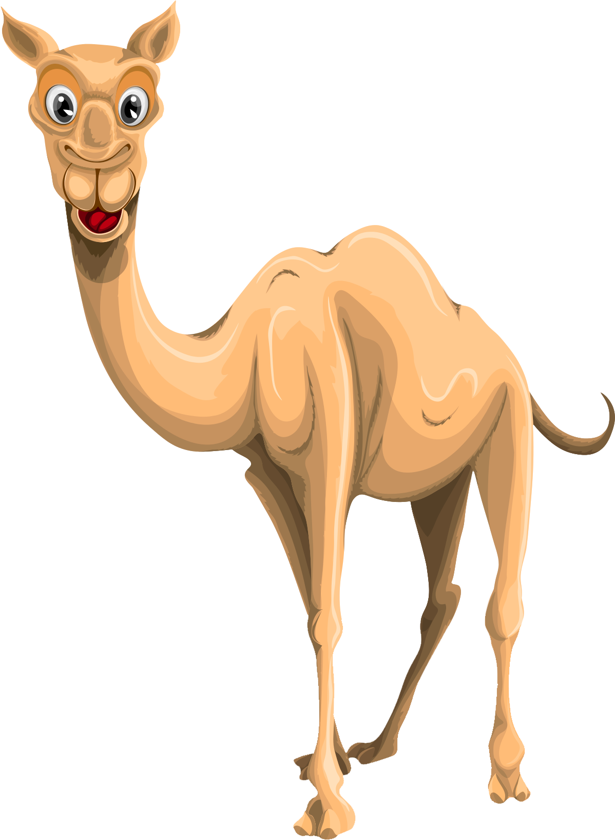 Camel Png (1350x1767)