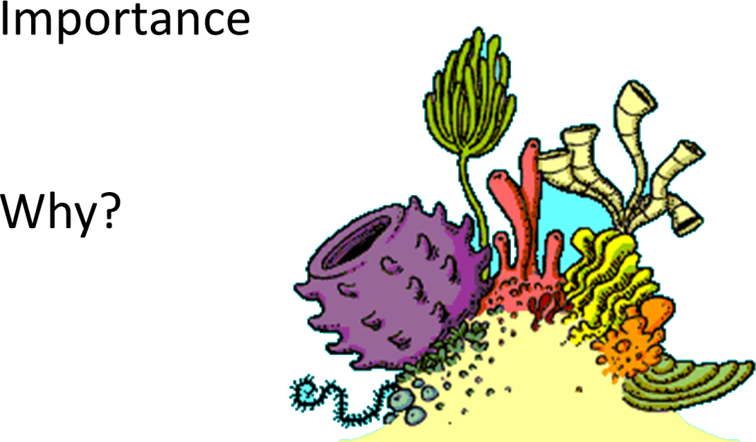 Coral Bleaching Image - Reef Animated (1071x626)