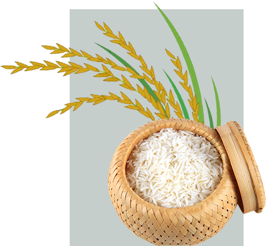 Basmati Rice - Hardtack (700x540)