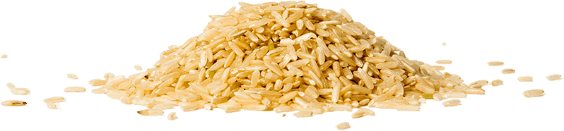 Rice - Penne (798x186)