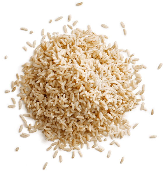 Rice - Groat (600x600)