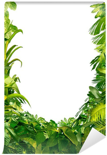 Plants (400x400)