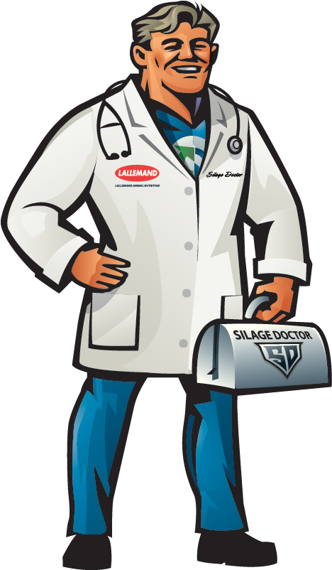 Doctor - Illustration (500x801)