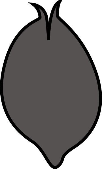 Clip Art (360x595)