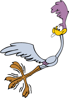 Road Runner Vector - Road Runner (400x400)