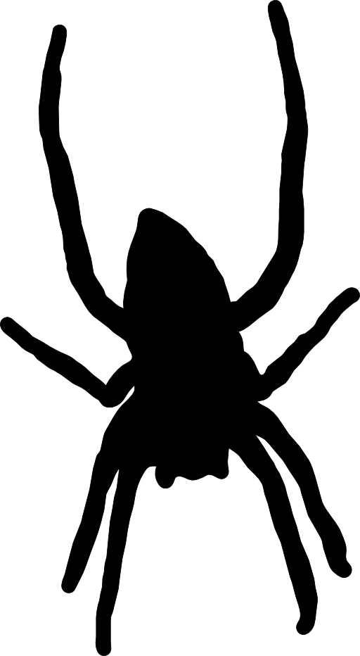 Transparent Spider Cartoon (512x932)