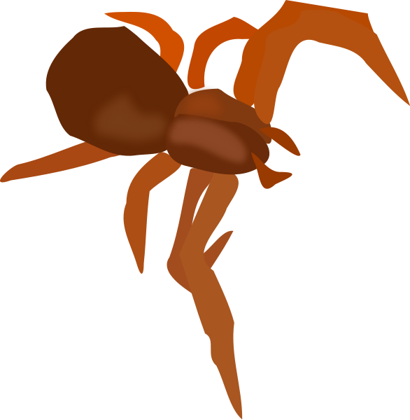 Comments - Spider (586x600)