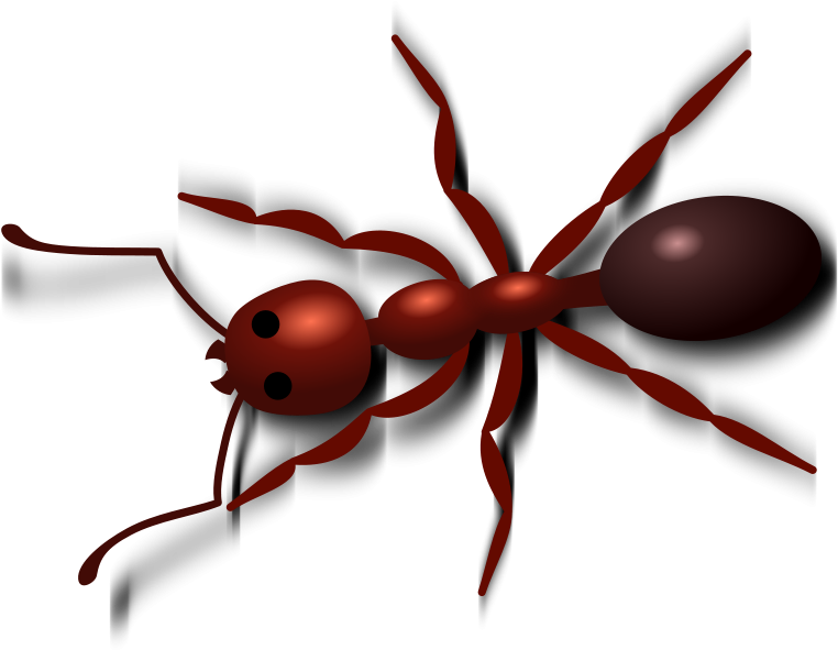 Picnic Clip Art Ants Free Clipart Images - Meat Ant Clip Art (800x629)