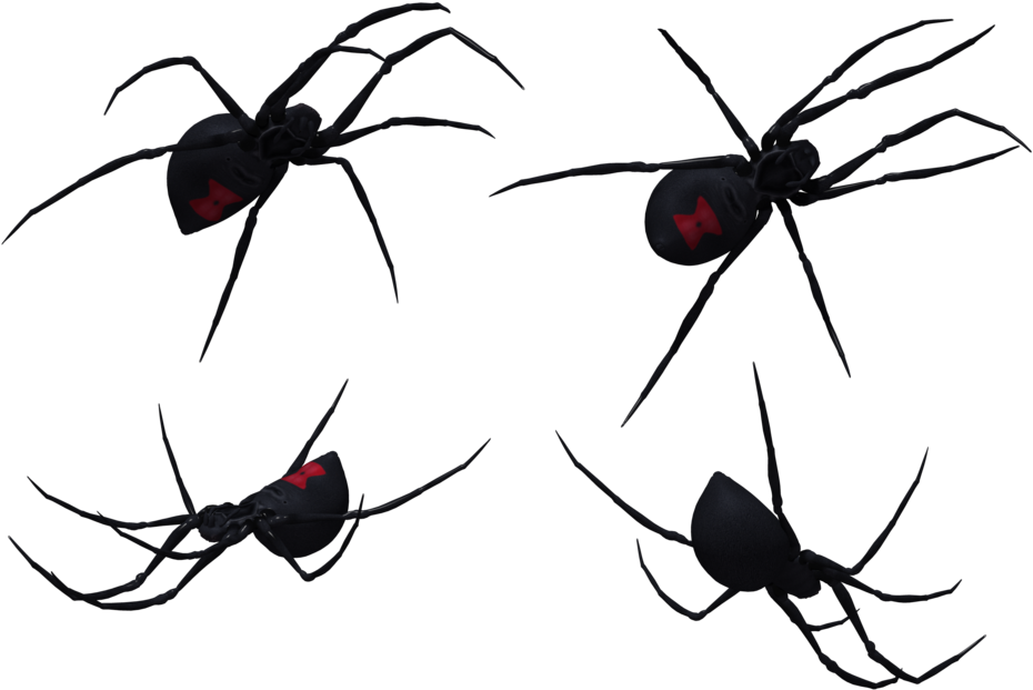 Black Widow (1024x645)