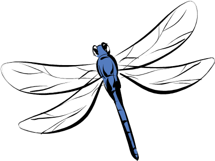 The Dragonfly Effect - Carolina Hardware And Decor 1162 Dragonfly Ceramic (435x332)