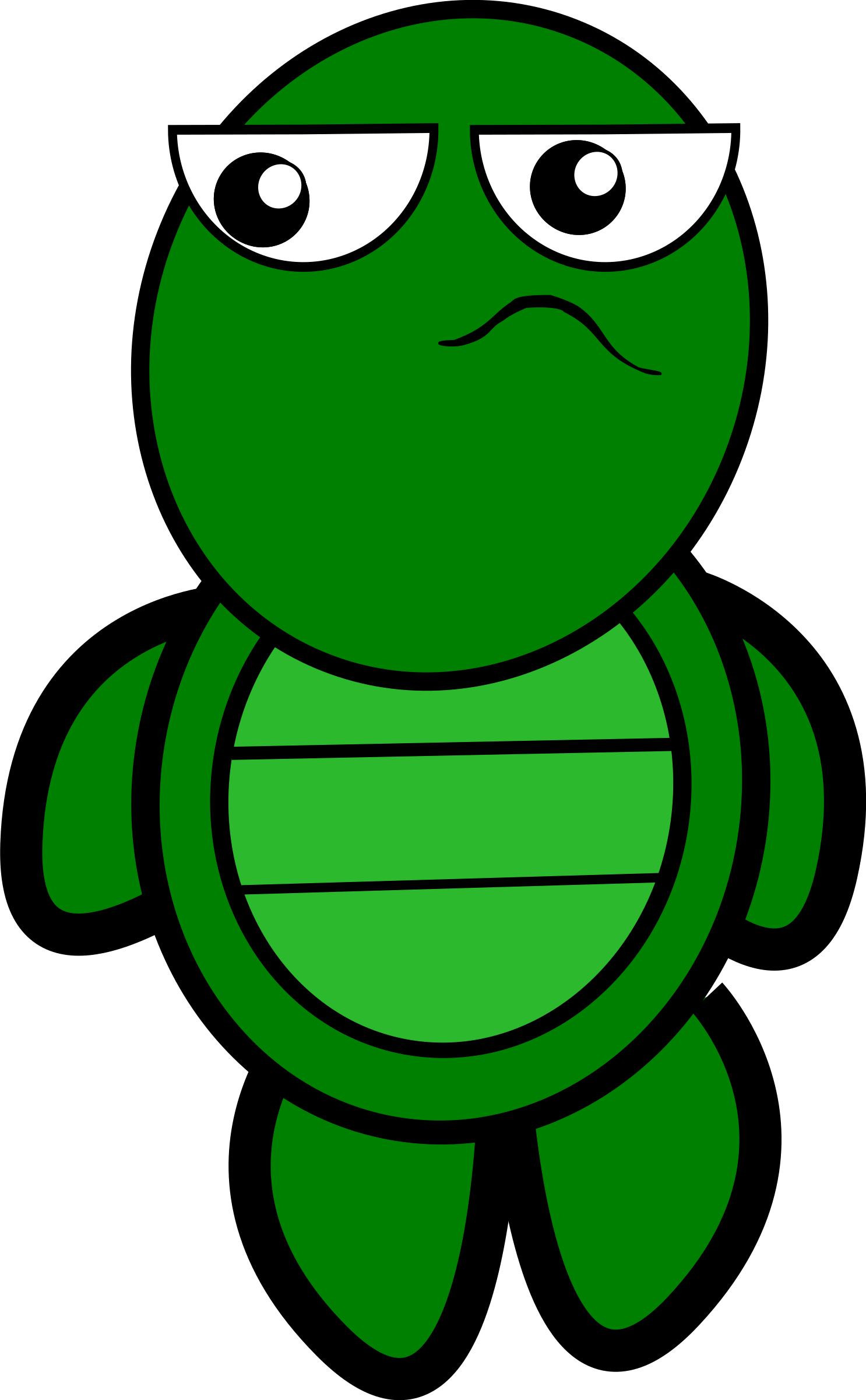 Big Image - Transparent Background Turtle Clipart (1486x2400)