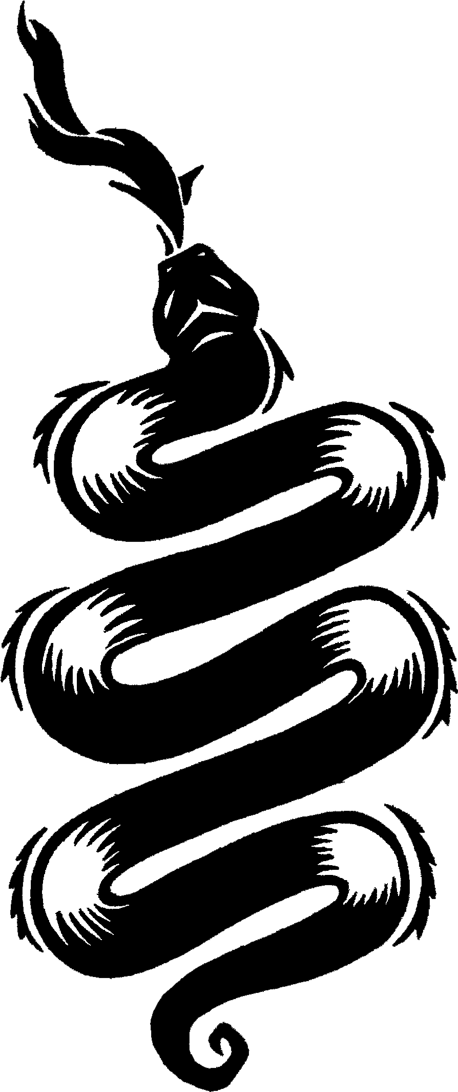 Snake - Cole Macgrath Evil Tattoos (1109x2160)
