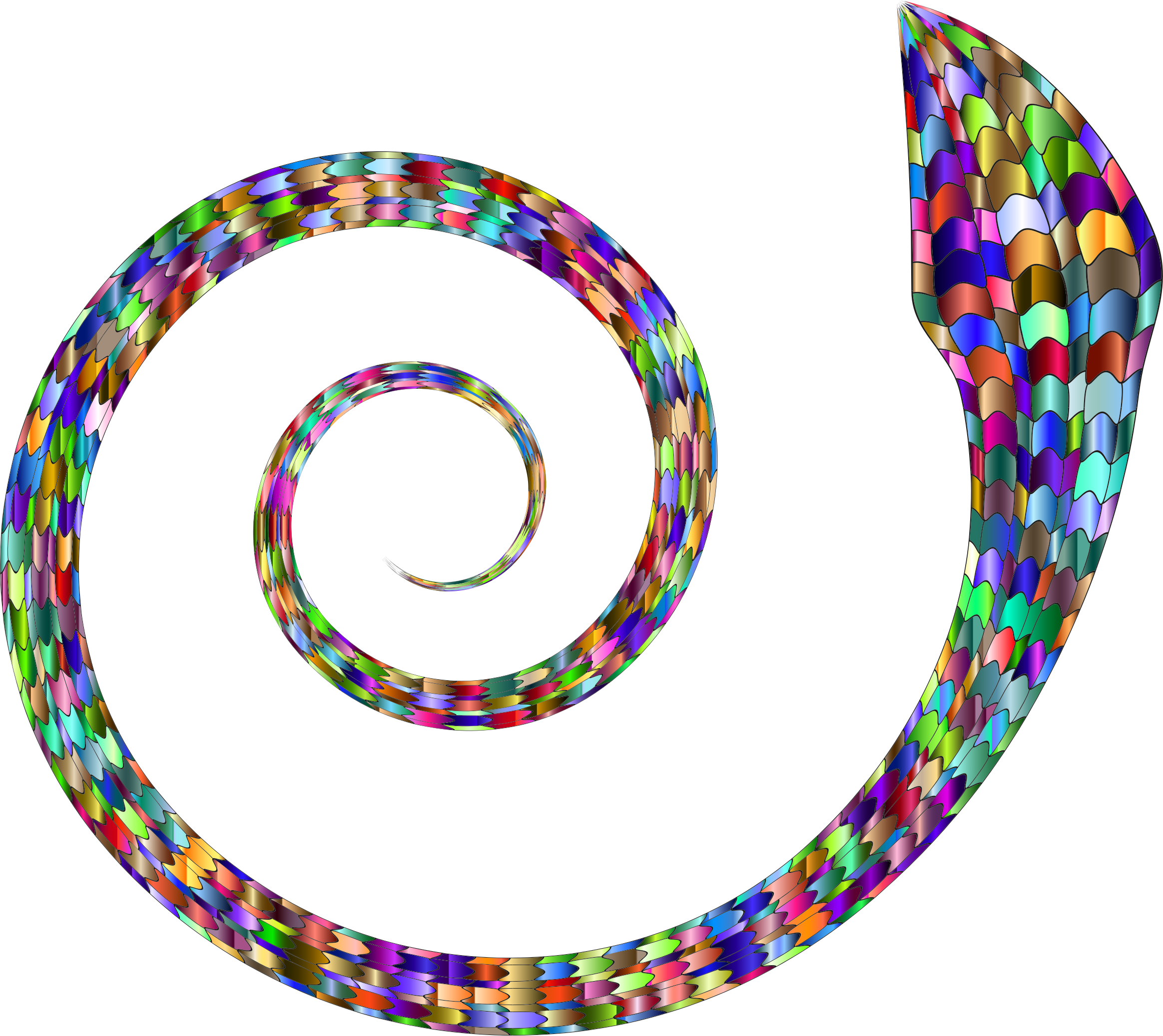 Coiled Snake - Portable Network Graphics (2328x2076)