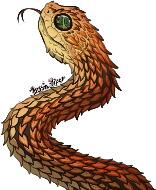 View Collection - Bush Vipers (525x625)