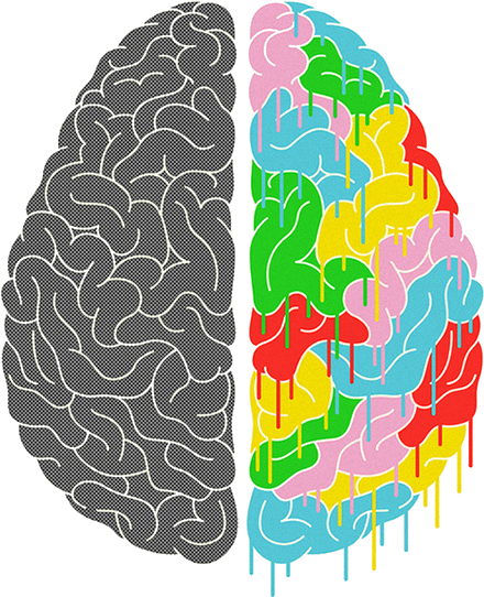 Math Transparent Picture Free Download Clip Art Free - Brain Png (500x707)