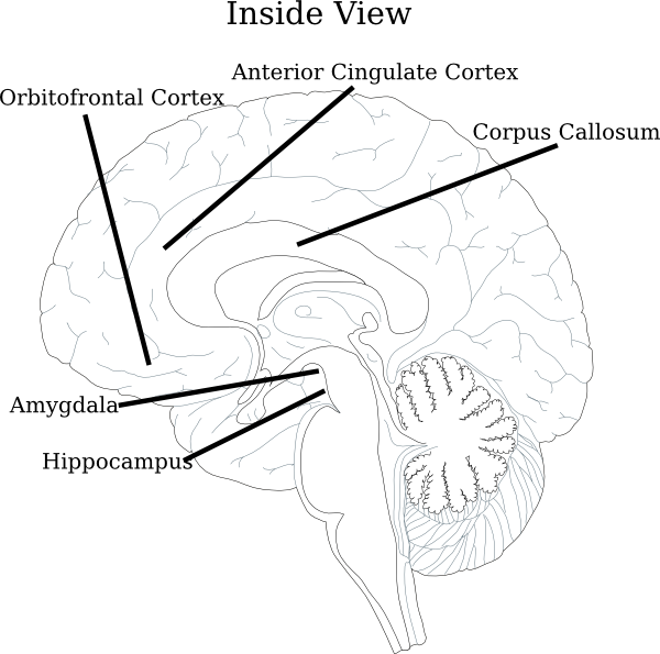 Medicine (600x595)
