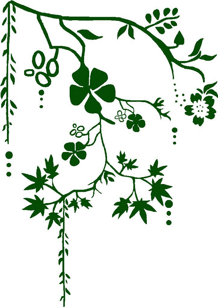 Tree (735x1024)