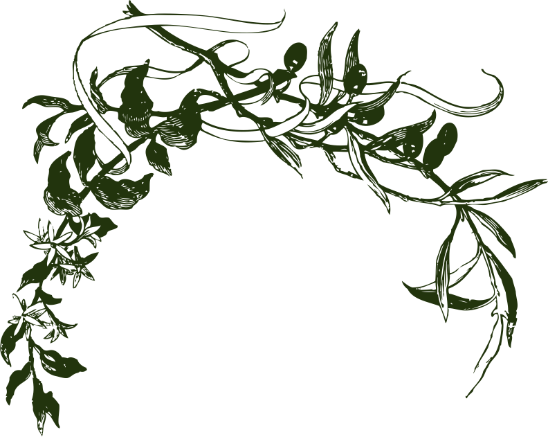 Calligraphy (792x631)