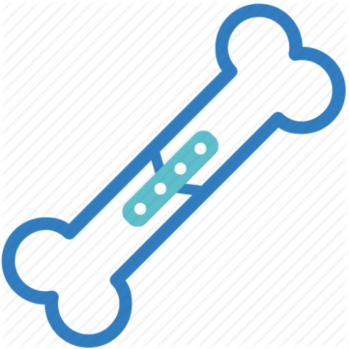 Orthopedic Surgeon - Bone (500x500)