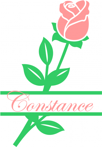 Split Frame With Pink Rose, Download Free - Split Frame With Pink Rose, Download Free (500x500)